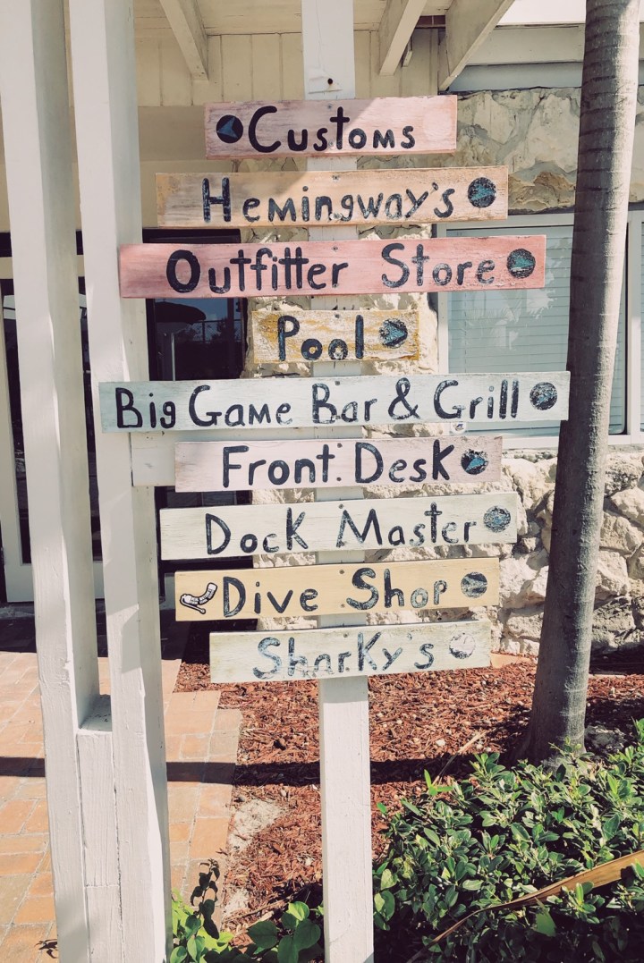 Processed with VSCO with kp9 preset