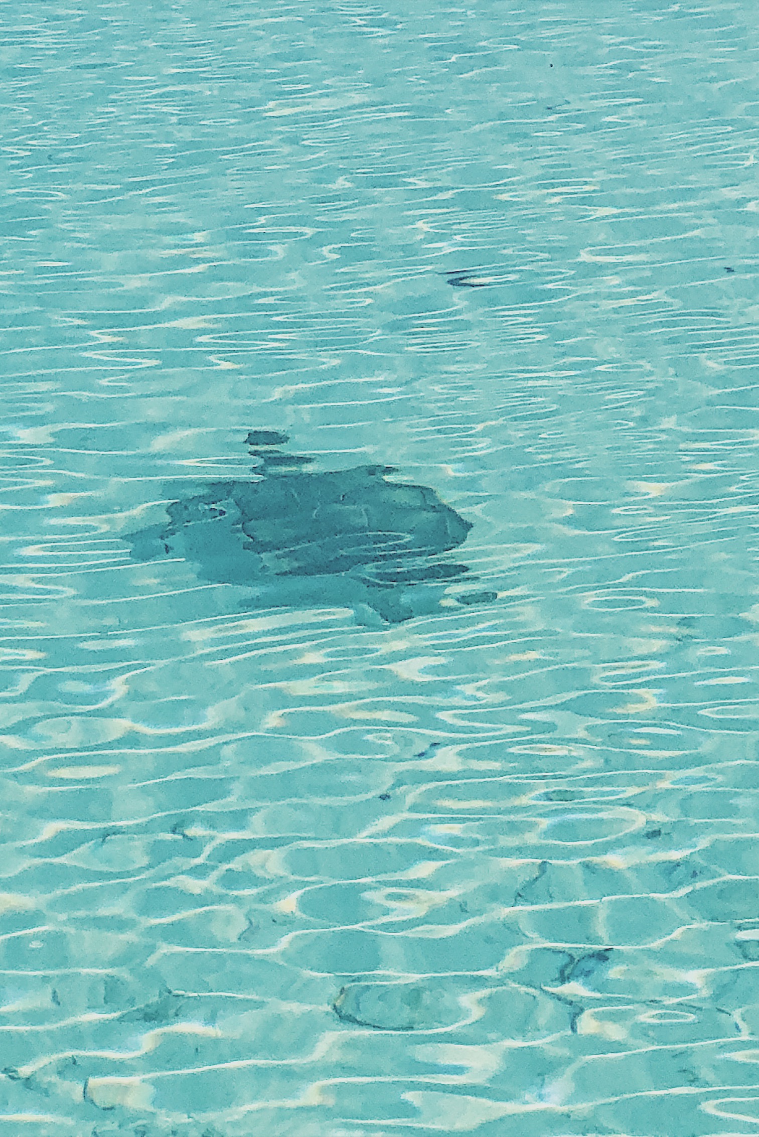 Processed with VSCO with kp9 preset